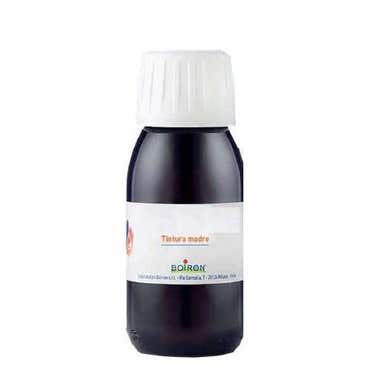Clarins Arnica Montana Tintura Madre 60ml Trasporto libero internazionale