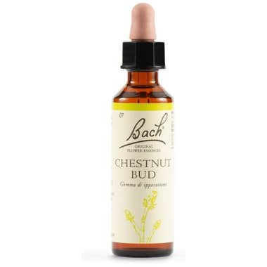 Clarins Chestnut Bud Bach Original Flower Essences 20ml